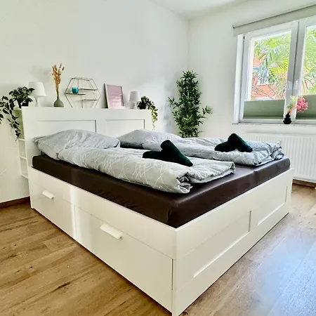 Palmtrees - Grosse Und Moderne 2 Zimmerwohnung Mit Sued-west Balkon In Gladbeck-mitte Naehe Movie Park Und Arena Aufschalke Gladbeck